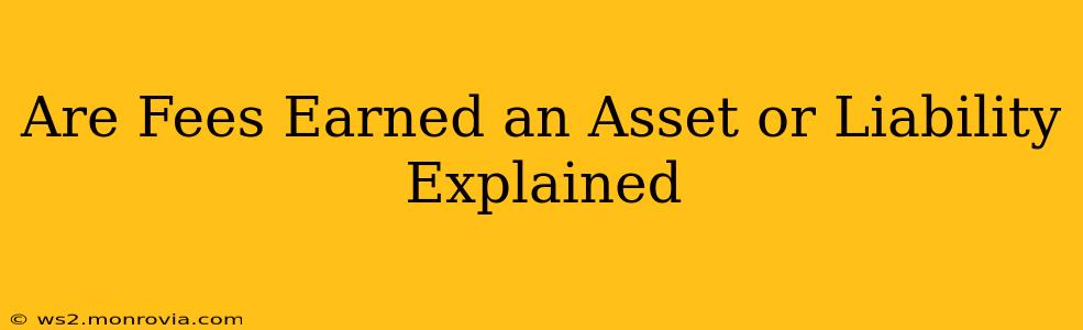 Are Fees Earned an Asset or Liability Explained