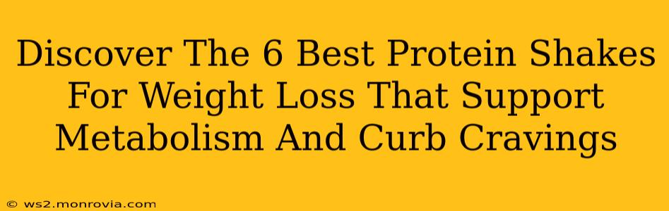 Discover The 6 Best Protein Shakes For Weight Loss That Support Metabolism And Curb Cravings
