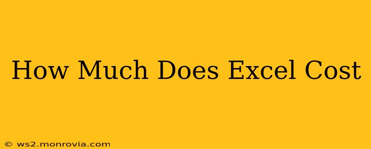 How Much Does Excel Cost