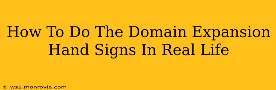 How To Do The Domain Expansion Hand Signs In Real Life