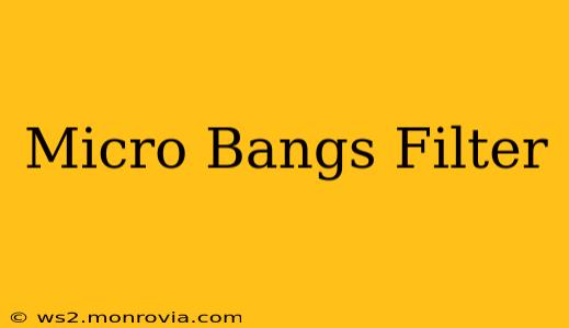Micro Bangs Filter